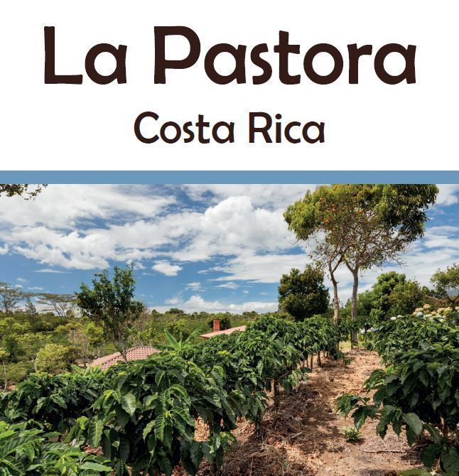 Costa Rica La Pastora
