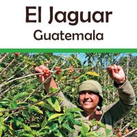 Guatemala el Jaguar