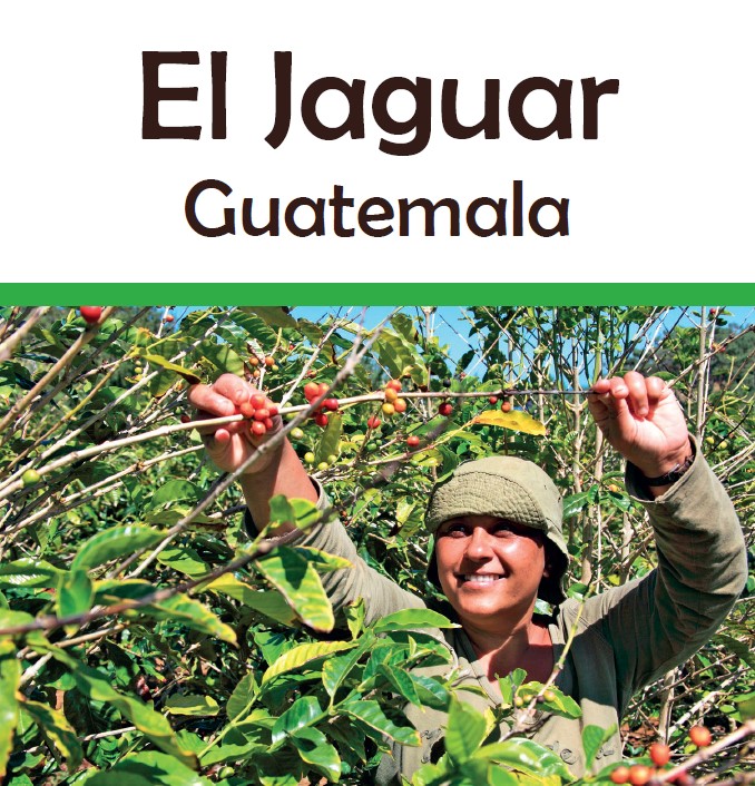 Guatemala el Jaguar