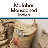 Indien Malabar Monsooned