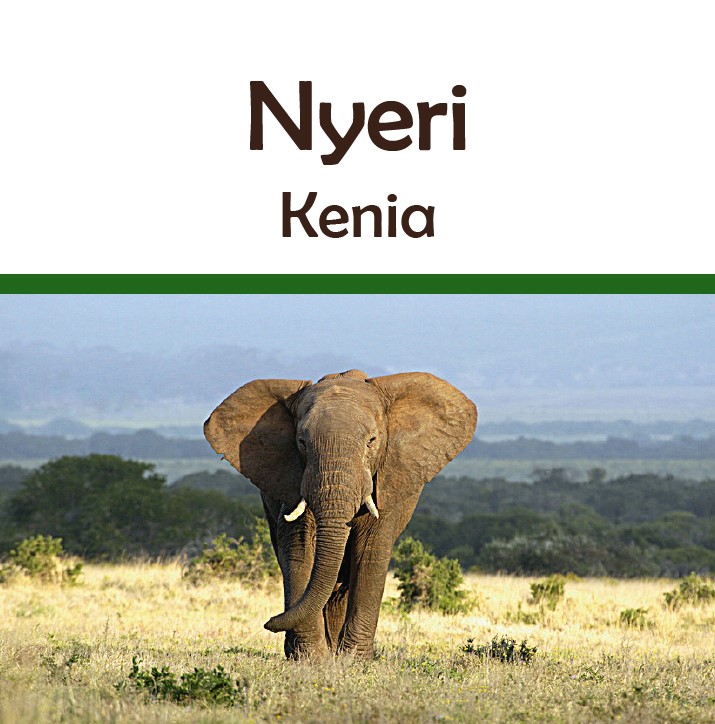 Kenia Nyeri